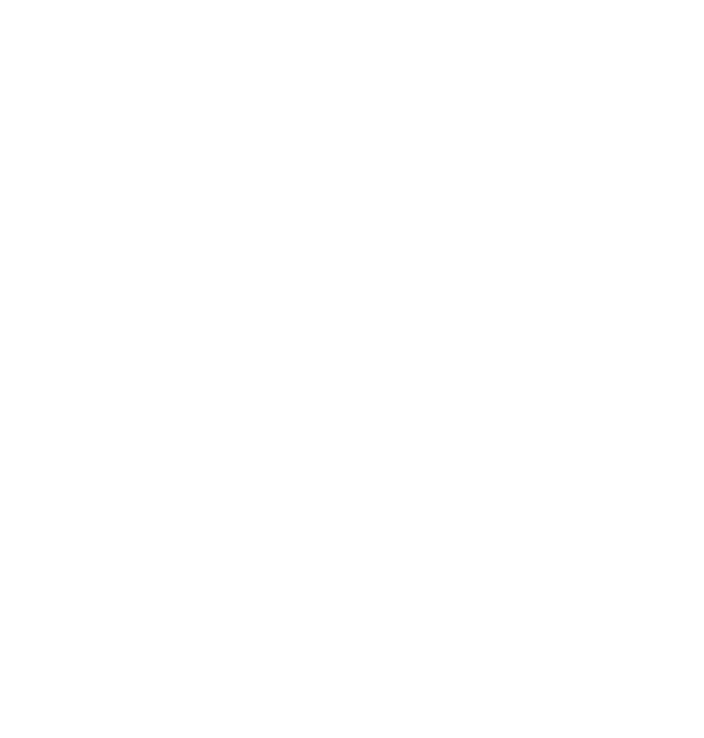 IDA Ireland