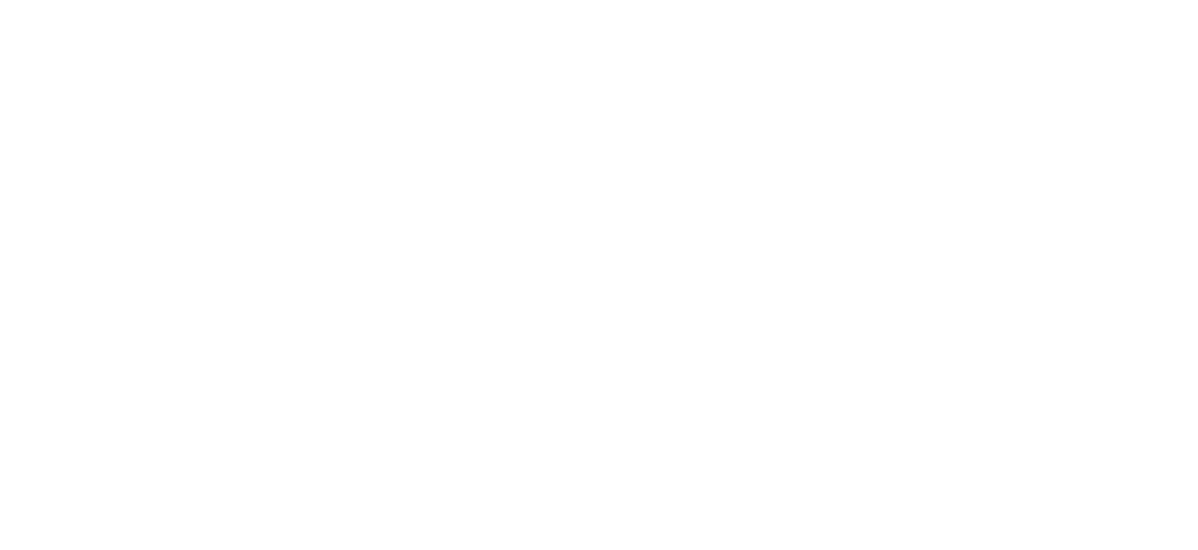 OpenChip