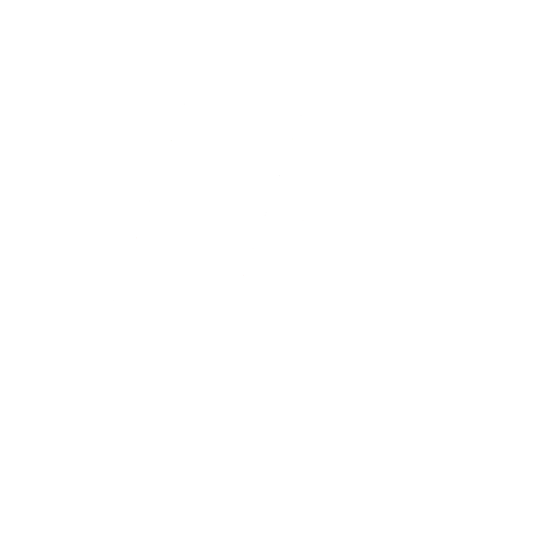 Wayflyer logo